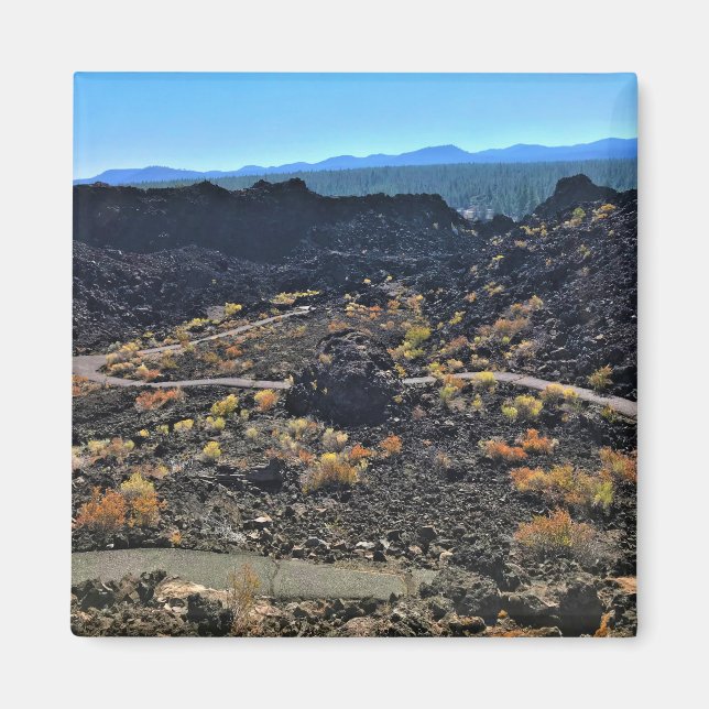 Íman Rastreio do Botão Lava, OU (Frente)