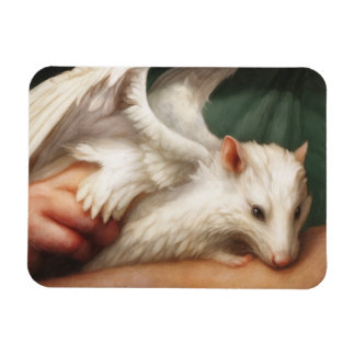 Íman Rato Anjo Alado