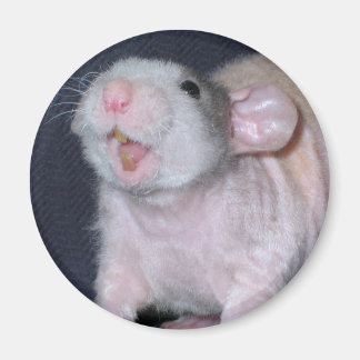 Íman Rato de Sorriso Fofo