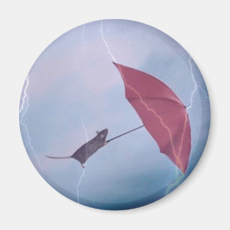 Íman Rato Em Um Magneto De Tempestade