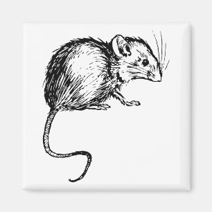 Íman Rato macio preto & branco do vintage retro