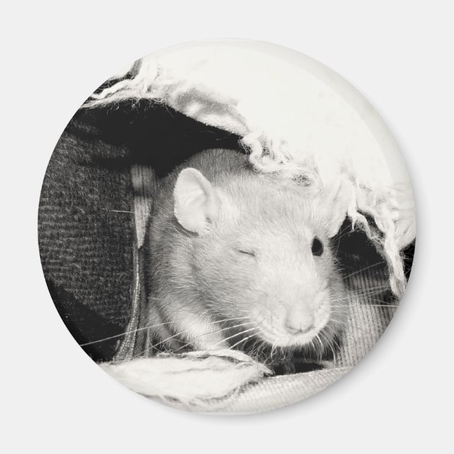 Íman Rato Winking (Frente)