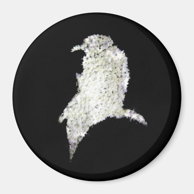 Íman Raven (Frente)