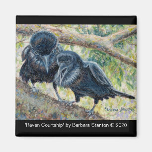 Íman "Raven Courtship"