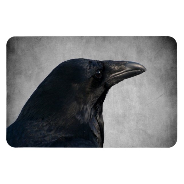 Íman Raven Glamor Shot (Horizontal)