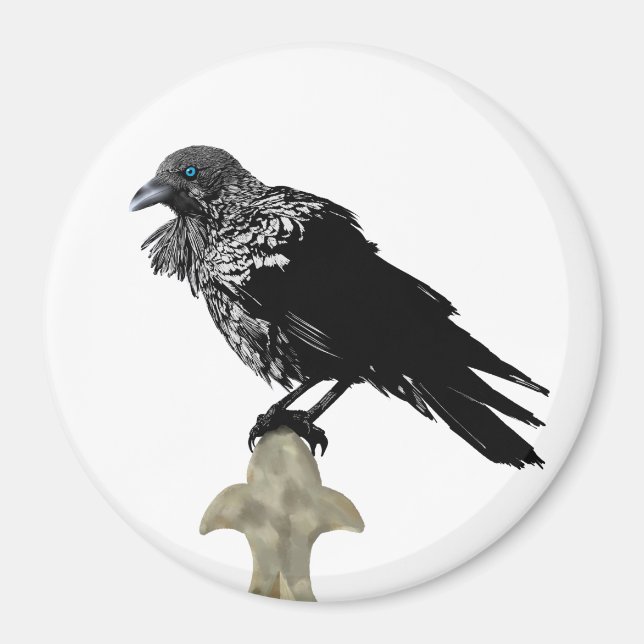 Íman Raven Incluso (Frente)