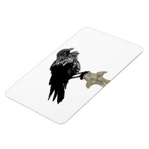 Íman Raven Incluso