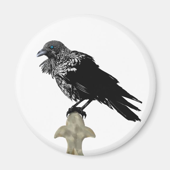 Íman Raven Incluso (Frente)