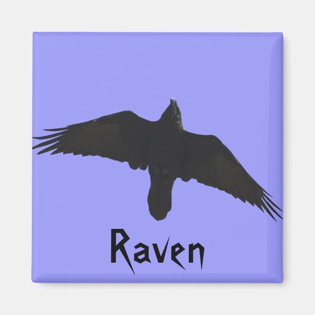 Íman Raven Magnets (Frente)