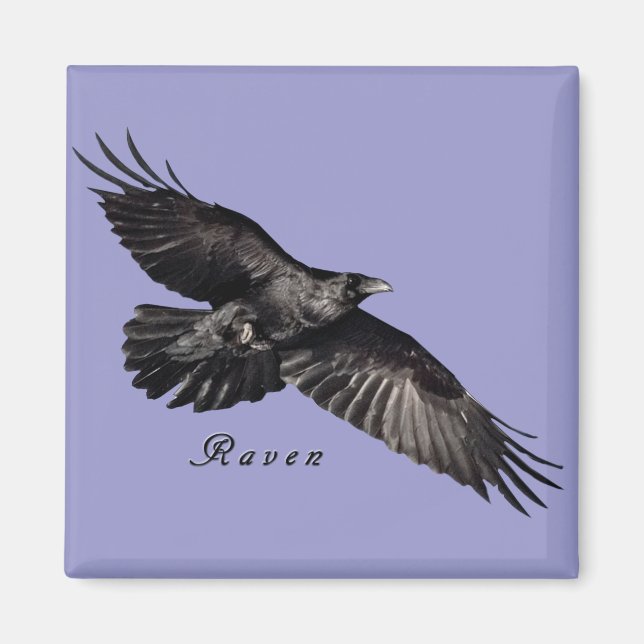 Íman Raven Magnets (Frente)
