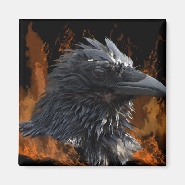 Íman Raven Magnets (Frente)
