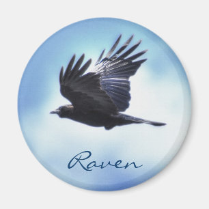 Íman Raven Voador no Céu Azul Foto HDR Design 2