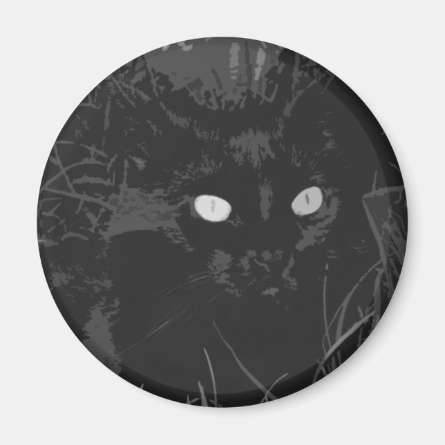 Íman ravina (Frente)