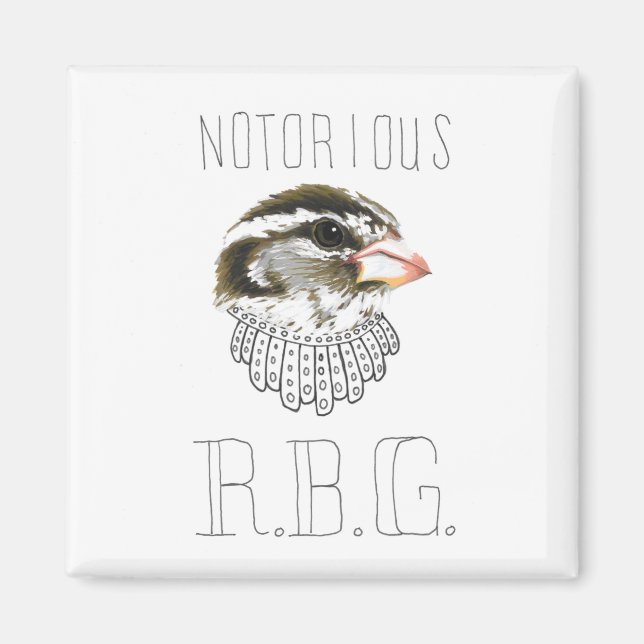 Íman RBG notório (Grosbeak mestiço de Rosa (Frente)