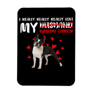Íman Realmente Amo Meu Terrier De Boston
