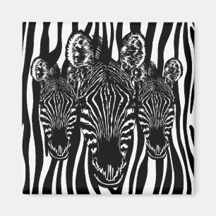 Íman Rebanho de Zebra da Moda em Estampa de Zebra