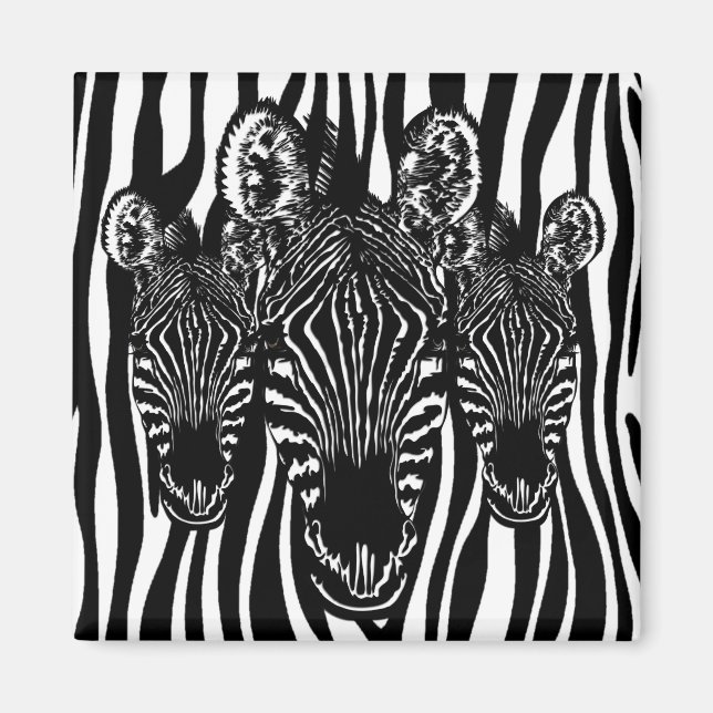 Íman Rebanho de Zebra da Moda em Estampa de Zebra (Frente)