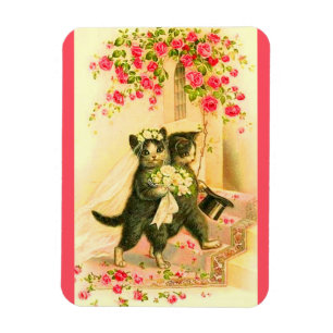 Íman recém-casados com gatinho