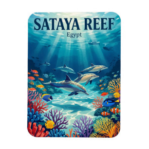 Íman Recife Sataya Egito