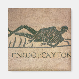 Íman Reclinando esqueleto com a legenda "Saber"