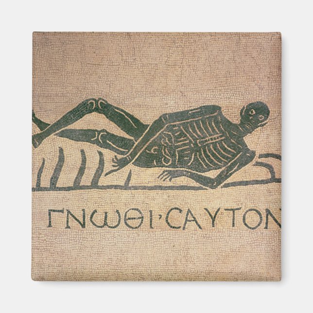 Íman Reclinando esqueleto com a legenda "Saber" (Frente)