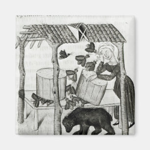 Íman Recolhendo o mel