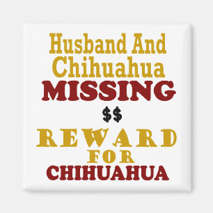 Íman Recompensa faltante da chihuahua & do marido para