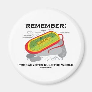 Íman Recorde: Os Prokaryotes ordenam o mundo
