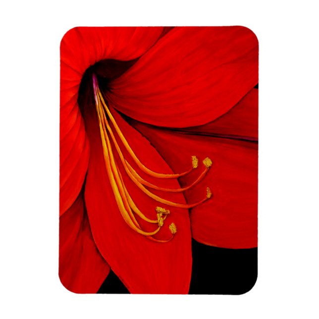 Íman Red Amaryllis (Vertical)