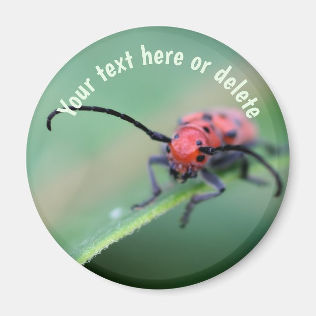 Íman Red Bug With Attitude Nature Personalized (Frente)