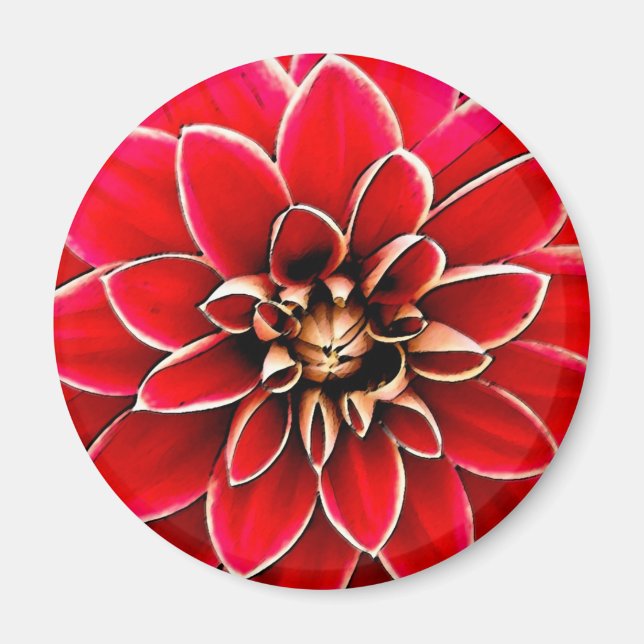 Íman Red Dahlia, arte digital (Frente)
