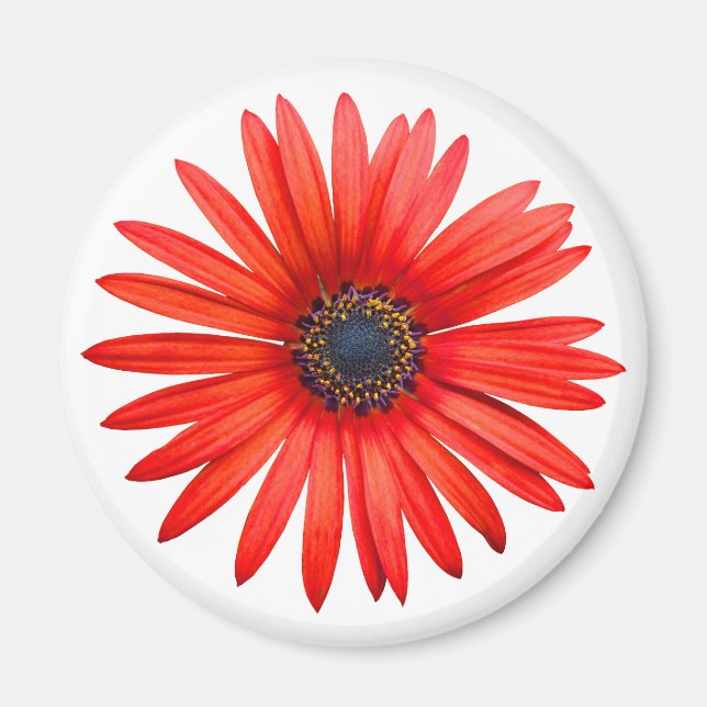 Íman Red Devil (Frente)