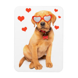 Íman Red Fox Labrador Puppy Love