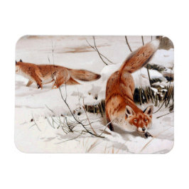 Íman Red Foxes in the Winter Snow (by Wilhelm Kuhnert)