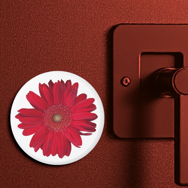 Íman Red Gerber Daisy Fechar Fotografia (3" round magnet)