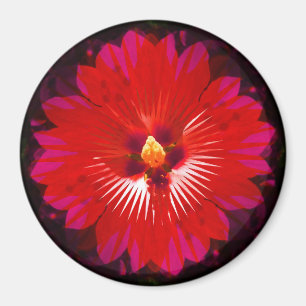 Íman Red Hibiscus Flower Kaleidoscope,