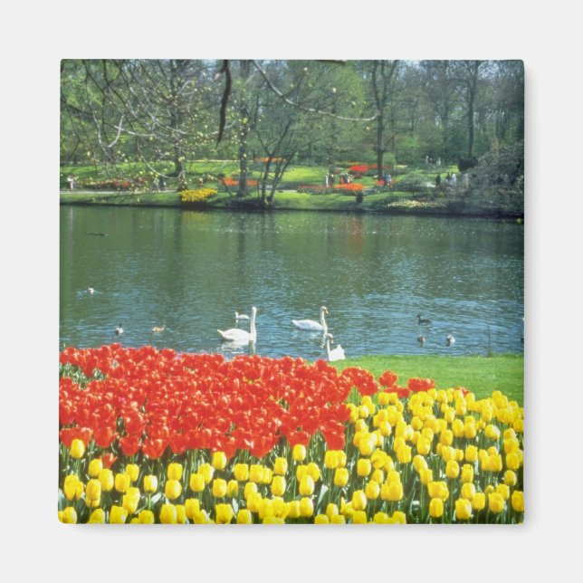 Íman Red Keukenhof Gardens, flores da Holanda (Frente)