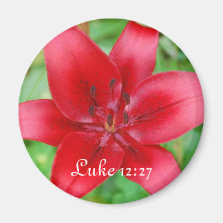 Íman Red Lily Magnet Luke 12:27