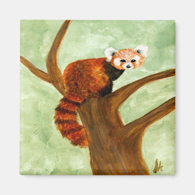 Íman Red Panda Magnet (Frente)