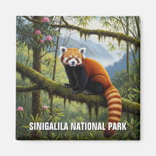 Íman Red Panda na Viagem do Parque Nacional de Singalil