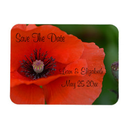 Íman Red Poppy Formal Salvar Data