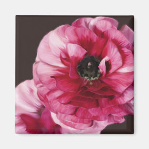 Íman Red Ranunculus