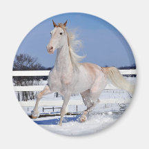 Red Roan em neve