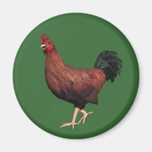 Íman Red Rooster