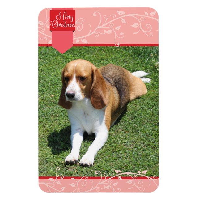 Íman Red Tab e Flourish Felry Magnet (Vertical)