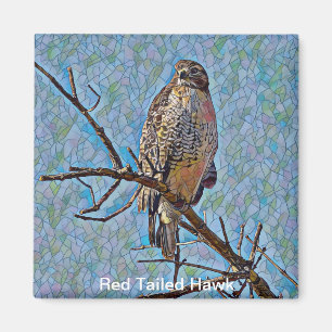 Íman Red Tailed Hawk