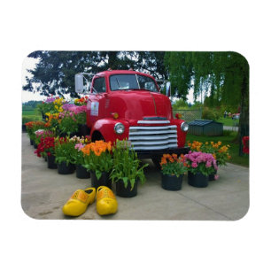 Íman Red Truck com Tulips, Oregon