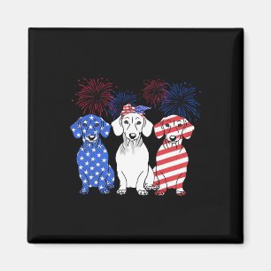 Íman Red White Blue Dachshund Dog Usa Flag Firework 4º