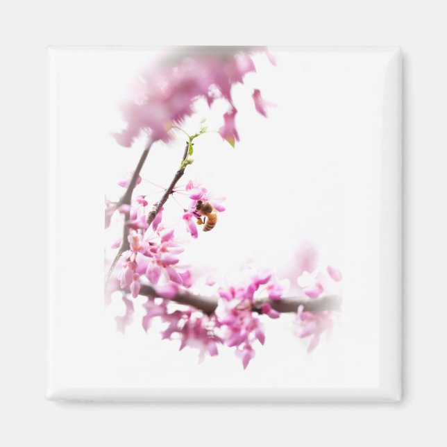 Íman Redbud & honeybee-8742 (Frente)