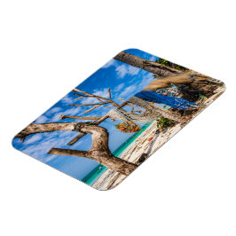 Íman Redes de pesca que secam na praia